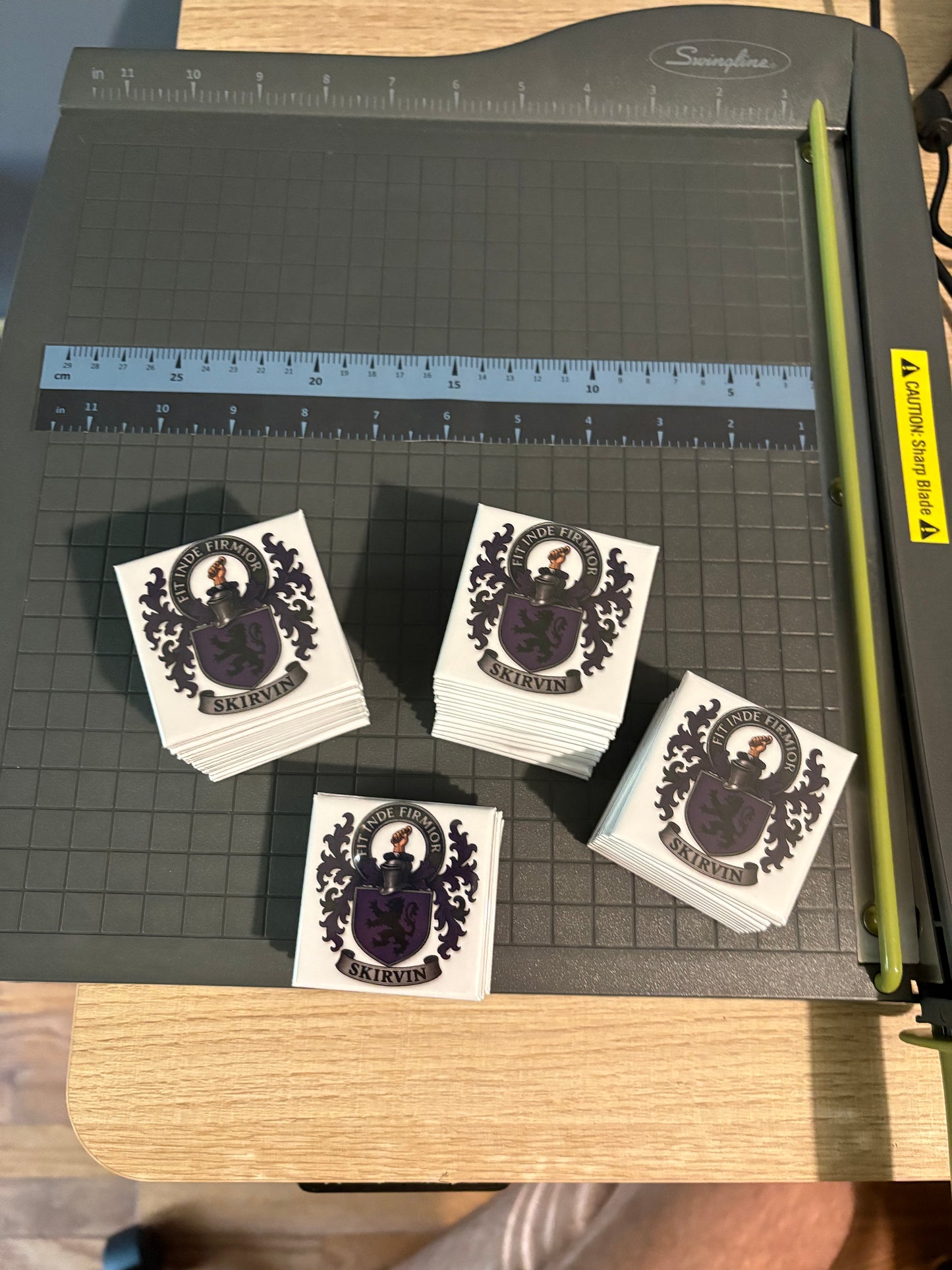 Bundle of 50 Photo Magnets