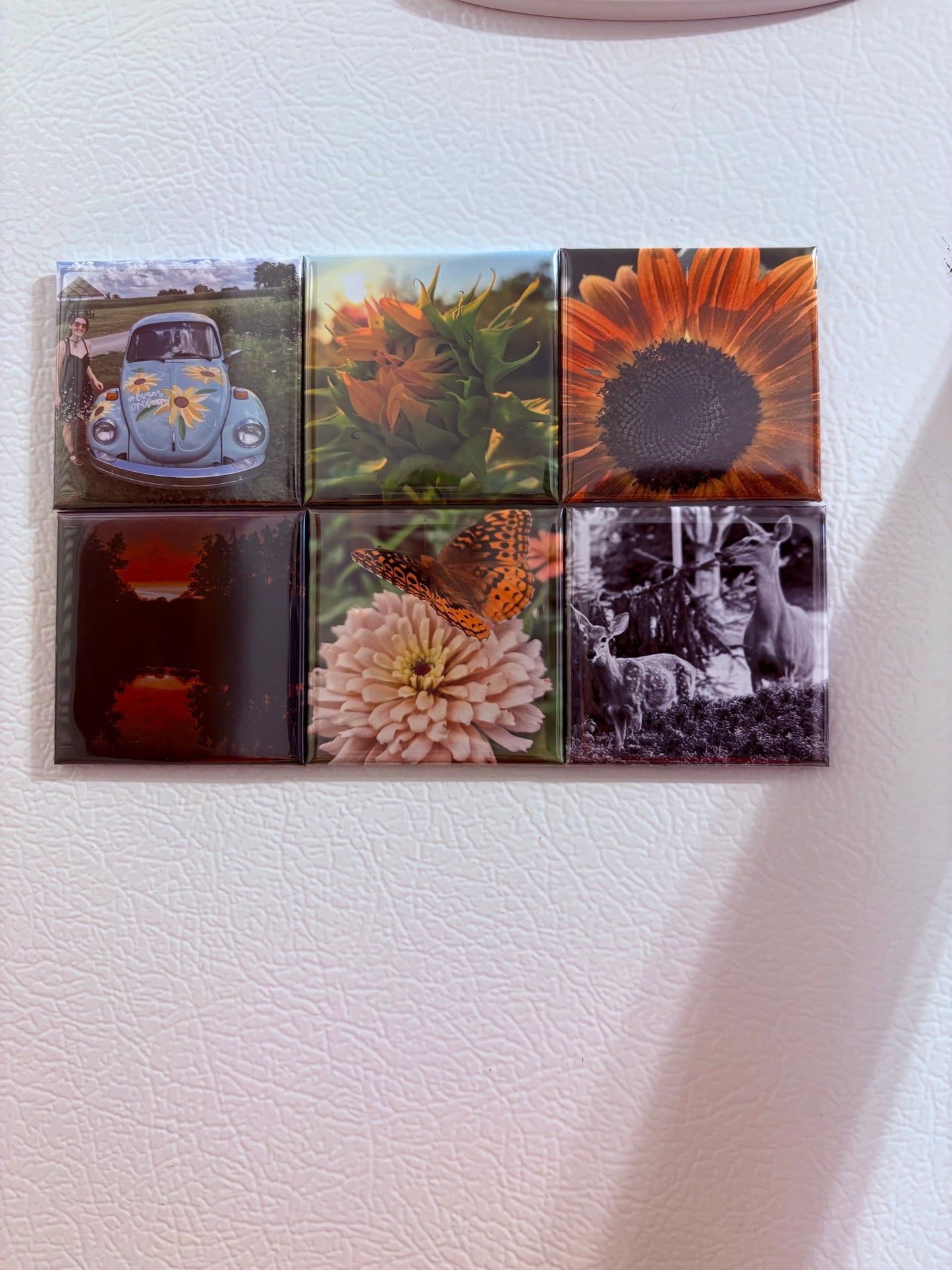3 Custom Photo Magnets